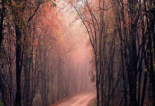 英超第30轮结束了所有比赛,最新积分榜如下!.