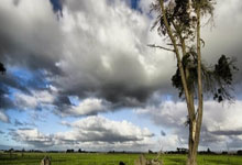 日本东京网球公开赛:郑钦文夺得本赛季第三个冠军.