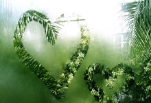 雷速体育官网：[CBA]赵继伟分球 张镇麟加速突破双手隔扣.