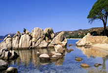 王楚钦晋级WTT福冈总决赛男单决赛央视新闻客户端.